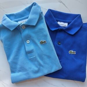 Lacoste Kids Polo Shirts - Sky Blue and Royal Blue
